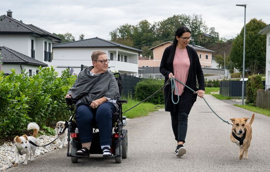 2 Frauen gehen mit Hunden spazieren, eine Frau sitzt im Rollstuhl